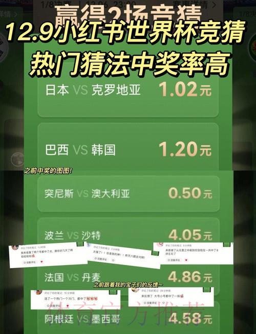 世界杯竞猜攻略全解析,轻松提升中奖几率 世界杯竞猜攻略全解析,轻松提升中奖几率